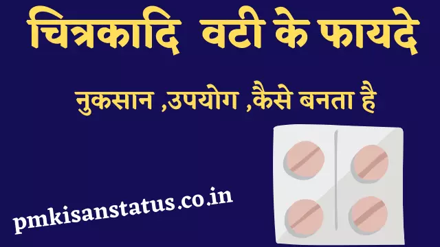 chitrakadi vati in hindi