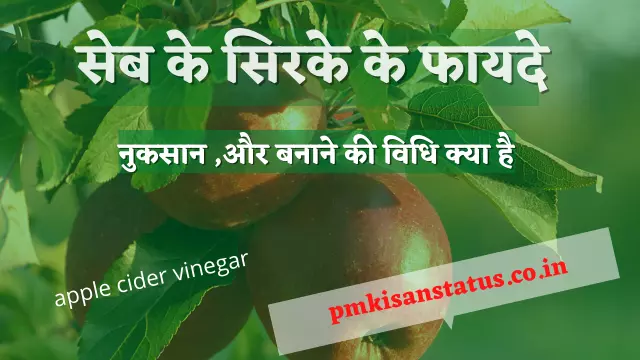 apple cider vinegar uses for hair in hindi