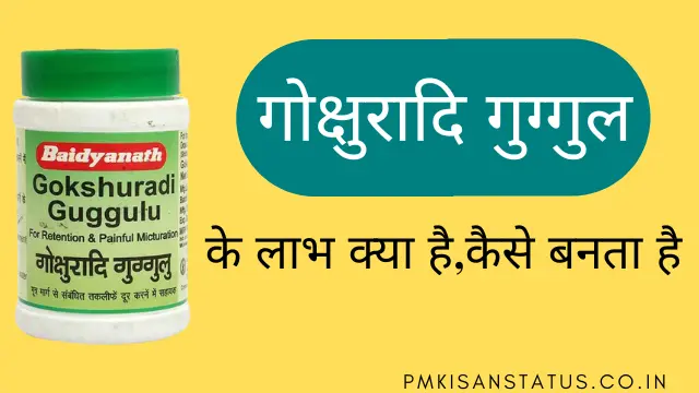 gokshuradi guggulu uses and benefits in hindi